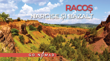 Racoș în familie