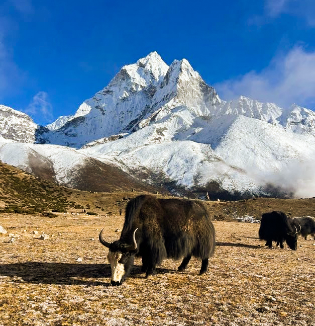 Annapurna Circuit și peisaje himalayene în Nepal