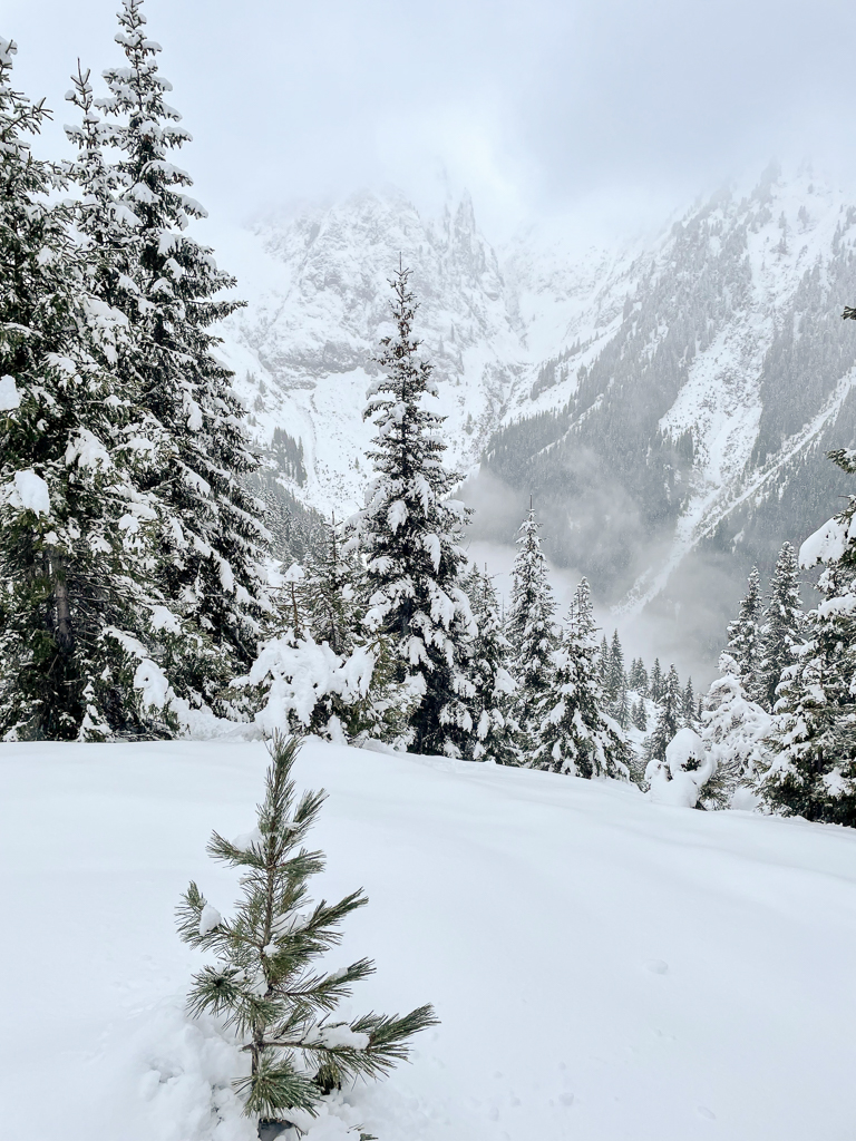 Peisaj hibernal pe traseul către Vârful Moldoveanu